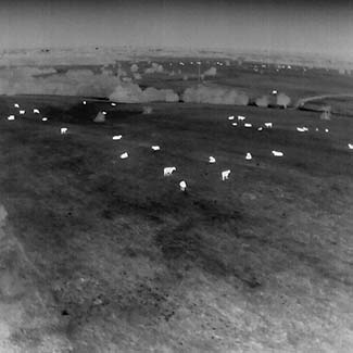 Vaquero Land Services – Expert aerial wildlife surveys, drone mapping & Texas land brokerage.